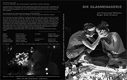 kleines theater – Kammerspiele Landshut  „Die Glasmenagerie“ – Videotrailer, ViralVideoProduktion