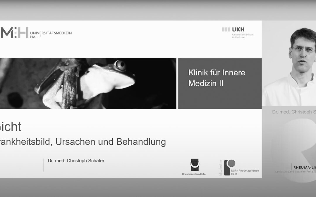 Professionelle Vortragsaufzeichnung